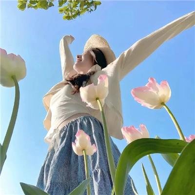 岛屿协奏曲